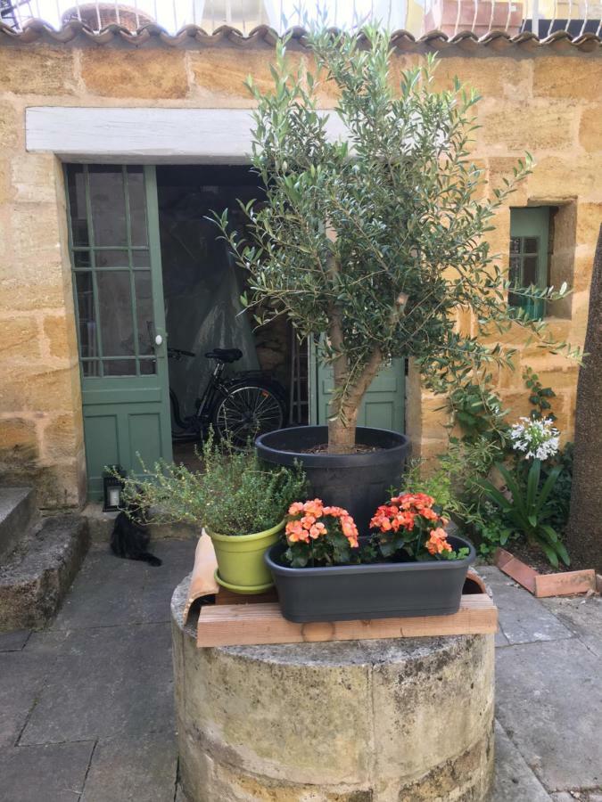 Maison de Maître Elegia Castillon-la-Bataille Exterior foto